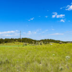 Property photo for land for sale in Musselshell County Montana