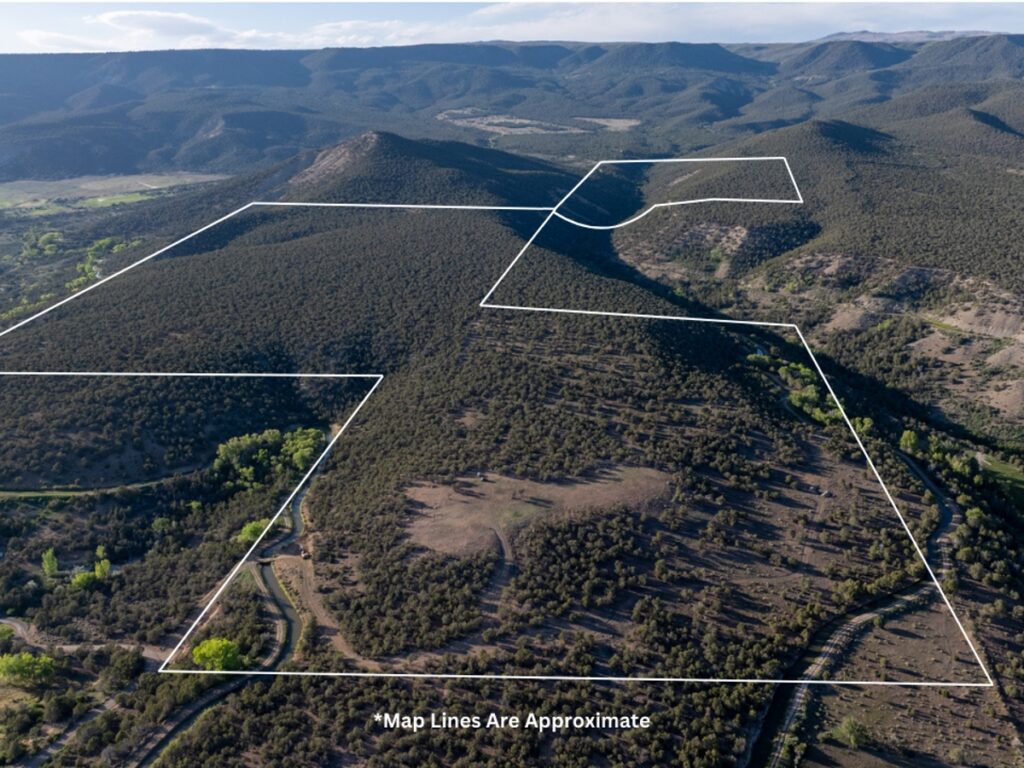 Property photo for land for sale in Delta County Colorado