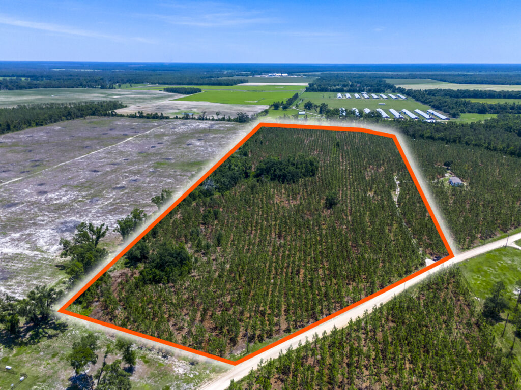 Property photo for land for sale in Madison County Florida