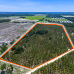 Property photo for land for sale in Madison County Florida