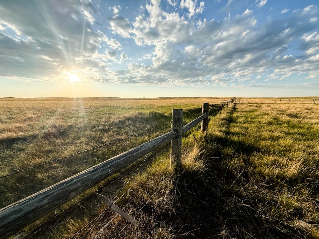 Property photo for land for sale in Phillips County Montana