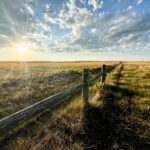 Property photo for land for sale in Phillips County Montana