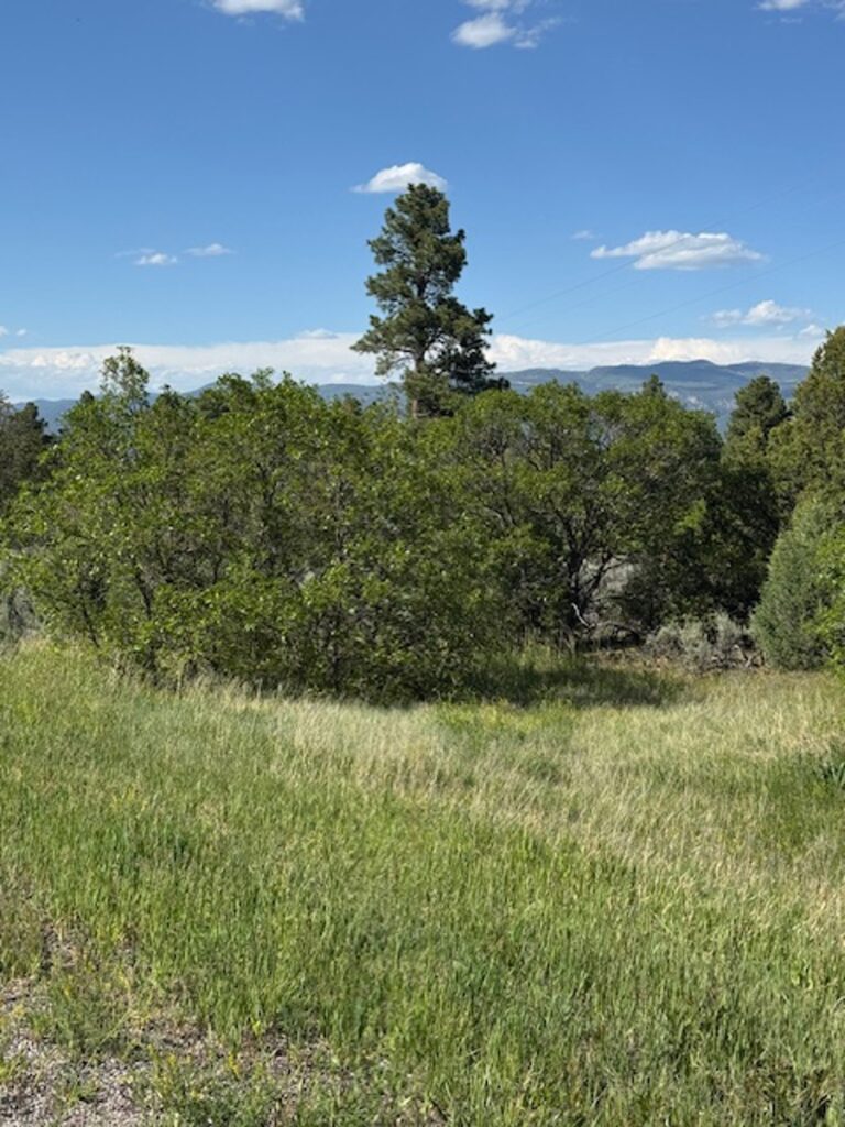 Property photo for land for sale in Rio Arriba County New Mexico