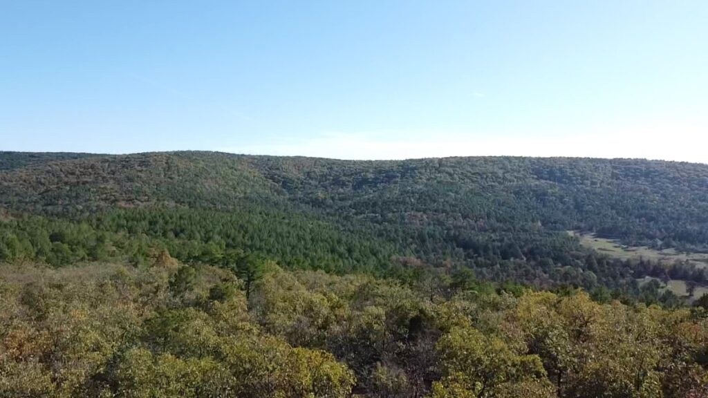 Property photo for land for sale in Le Flore County Oklahoma