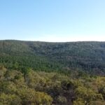 Property photo for land for sale in Le Flore County Oklahoma