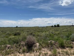 Property photo for land for sale in Torrance County New Mexico
