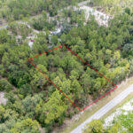 Property photo for land for sale in Levy County Florida