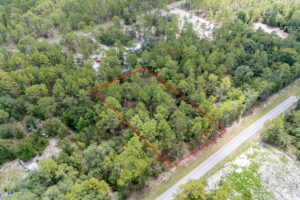 Property photo for land for sale in Levy County Florida