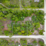 Property photo for land for sale in Dixie County Florida