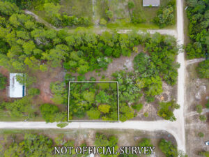 Property photo for land for sale in Dixie County Florida