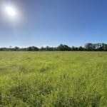 Property photo for land for sale in Vermilion County Louisiana