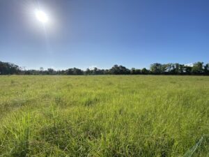 Property photo for land for sale in Vermilion County Louisiana