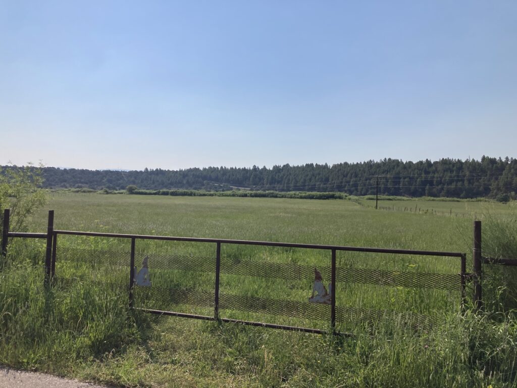 Property photo for land for sale in Rio Arriba County New Mexico