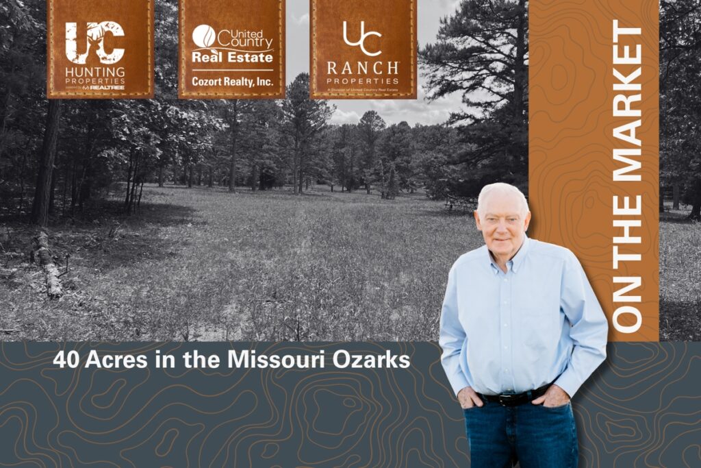 Property photo for land for sale in Oregon County Missouri