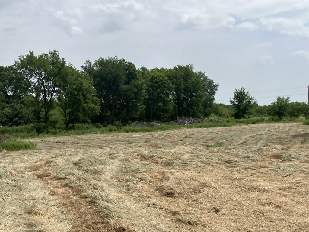 Property photo for land for sale in McIntosh County Oklahoma