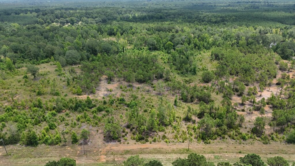 Property photo for land for sale in Lincoln County Louisiana