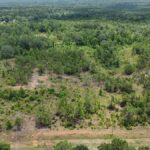 Property photo for land for sale in Lincoln County Louisiana