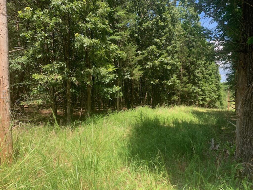 Property photo for land for sale in Marion County Arkansas