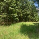 Property photo for land for sale in Marion County Arkansas