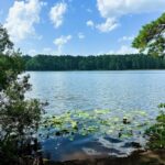 Property photo for land for sale in Pike County Mississippi