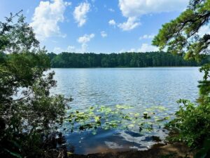 Property photo for land for sale in Pike County Mississippi