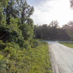 Property photo for land for sale in Dixie County Florida