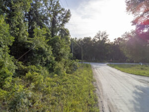 Property photo for land for sale in Dixie County Florida