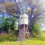 Property photo for land for sale in Decatur County Georgia