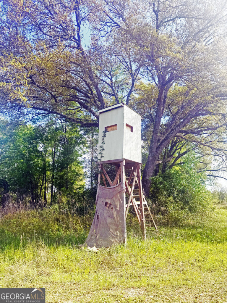 Property photo for land for sale in Decatur County Georgia