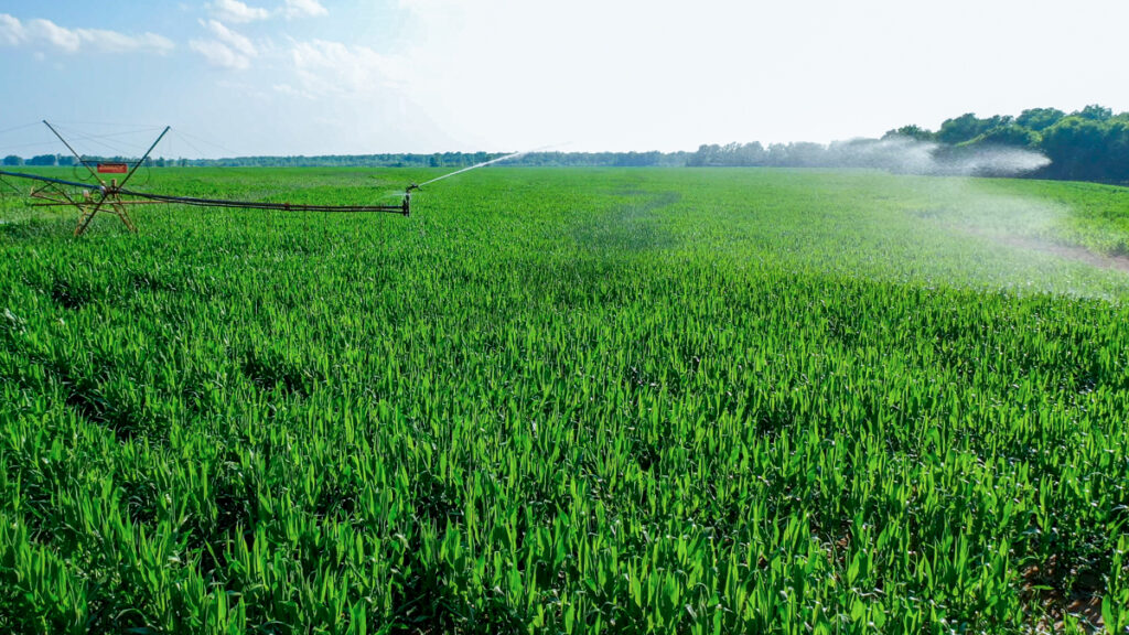 Property photo for land for sale in  County Oklahoma