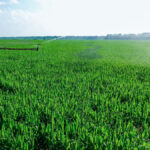 Property photo for land for sale in  County Oklahoma