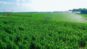 Property photo for land for sale in  County Oklahoma