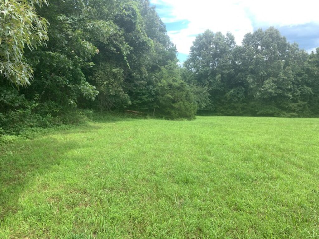Property photo for land for sale in Marion County Arkansas