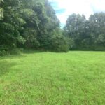 Property photo for land for sale in Marion County Arkansas