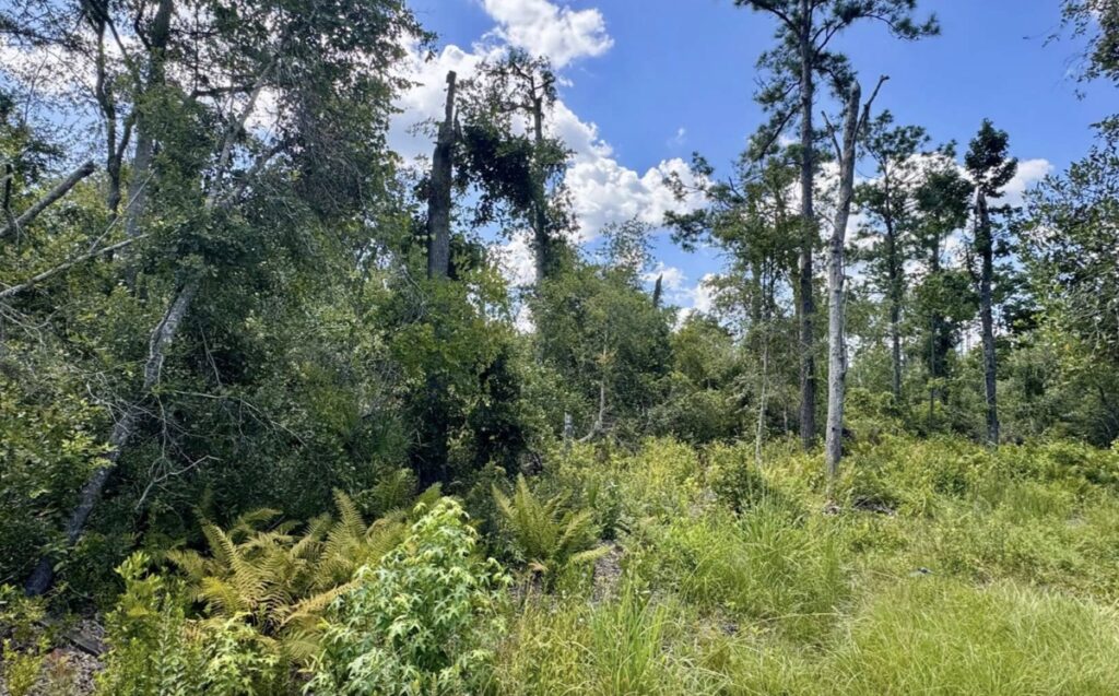 Property photo for land for sale in Hamilton County Florida