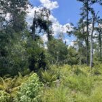 Property photo for land for sale in Hamilton County Florida