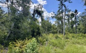 Property photo for land for sale in Hamilton County Florida