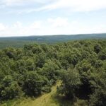 Property photo for land for sale in Stone County Arkansas