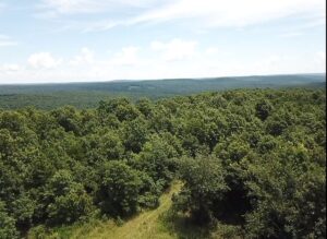 Property photo for land for sale in Stone County Arkansas