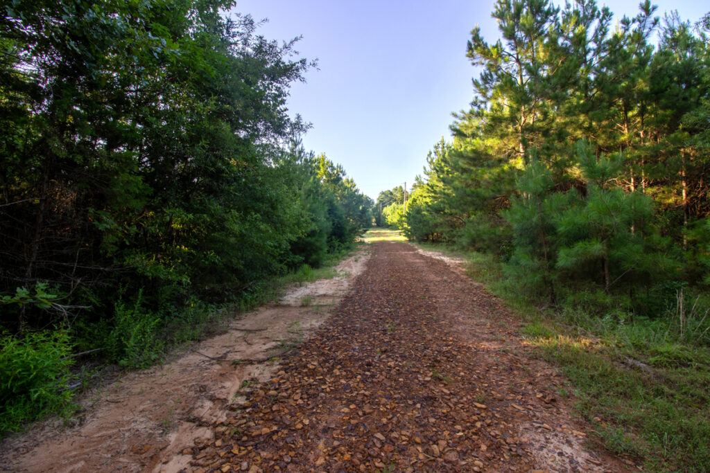 Property photo for land for sale in Cass County Texas