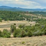 Property photo for land for sale in Rio Arriba County New Mexico