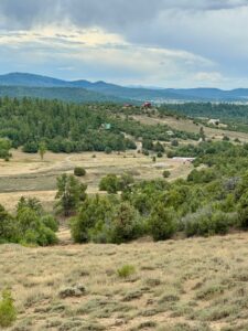 Property photo for land for sale in Rio Arriba County New Mexico