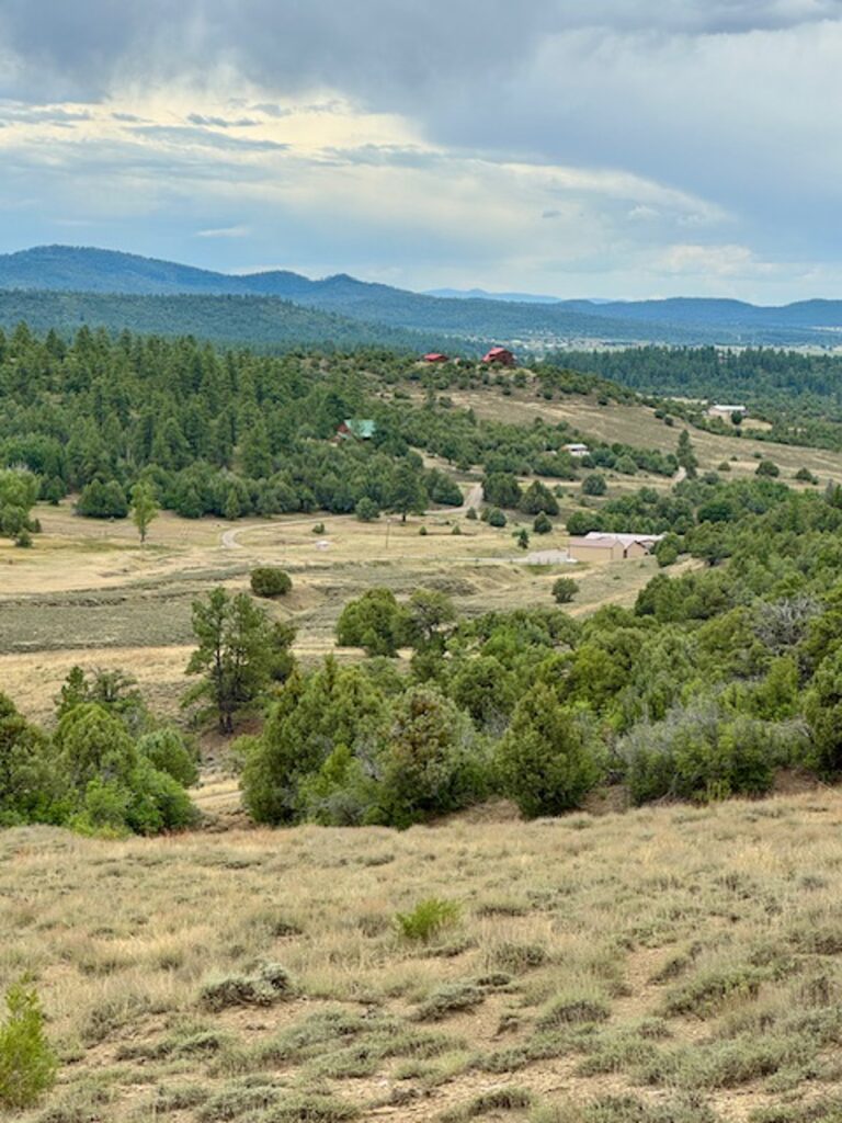 Property photo for land for sale in Rio Arriba County New Mexico