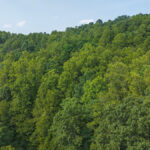 Property photo for land for sale in Wilkes County North Carolina