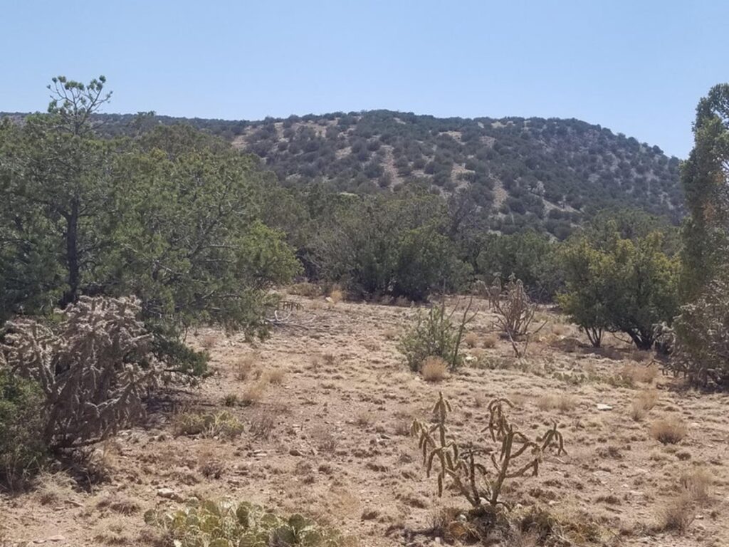 Property photo for land for sale in Torrance County New Mexico