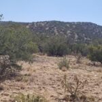 Property photo for land for sale in Torrance County New Mexico