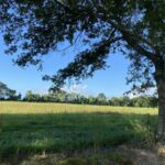 Property photo for land for sale in Vermilion County Louisiana