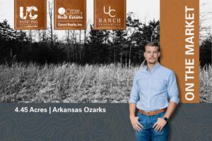 Property photo for land for sale in Fulton County Arkansas