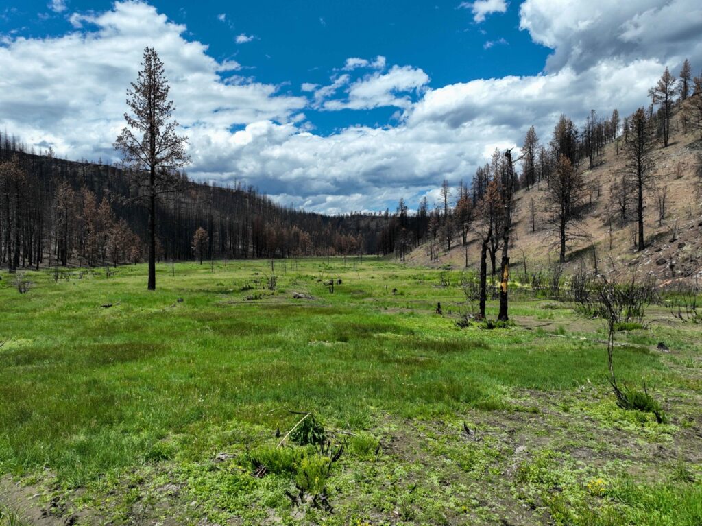 Property photo for land for sale in Harney County Oregon