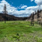 Property photo for land for sale in Harney County Oregon